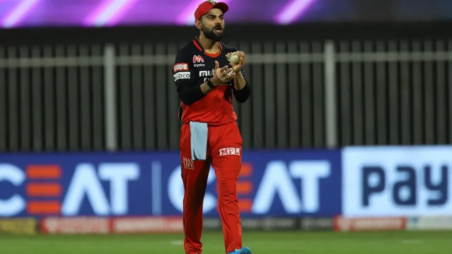 Most Fifties in IPL 